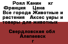  Роял Канин 20 кг Франция! › Цена ­ 3 520 - Все города Животные и растения » Аксесcуары и товары для животных   . Свердловская обл.,Алапаевск г.